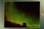 <p>Ic434 : Tête de cheval</p>