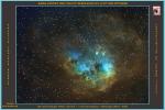 <p>Ic410 et les Têtards</p>