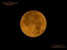 <p>Lune Lever</p>