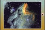 <p>Ic5070 Le Pelican</p>