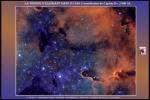 <p>Ic1396 La Trompe d'Elephant</p>