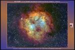 <p>Ic1396</p>