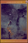 <p>Ic1396 La Trompe d'Elephant</p>