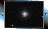 <p>M13</p>