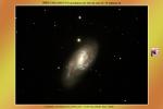 <p>M066 - Galaxie du Trio du Lion</p>