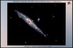 Ngc4631 : La baleine