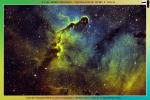 <p>Ic1396</p>